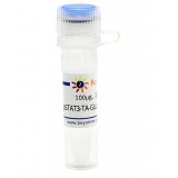 碧云天 pSTAT3-TA-GLuc-Dura (报告基因质粒)(D2261-100μg)