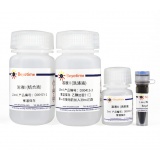 碧云天 BeyoMag磁珠法PCR/DNA纯化试剂盒(D0041S)