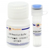 碧云天 phi29 DNA Polymerase(phi29 DNA聚合酶)(D7053XL)