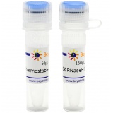 碧云天 Thermostable RNase H（耐热RNase H）(R7090S)