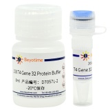 碧云天 T4 Gene 32 Protein (ssDNA结合蛋白)(D7057L)