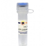 碧云天 GTP (100mM, Nuclease free)(GTP溶液)(D7380-1ml)