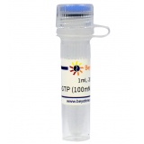 碧云天 GTP (100mM, Nuclease free)(GTP溶液)(D7380-1ml)