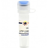 碧云天 UTP (100mM, Nuclease free)