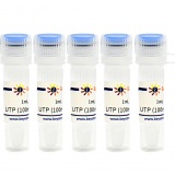 碧云天 UTP (100mM, Nuclease free)