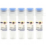 碧云天 UTP (100mM, Nuclease free)