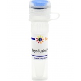 碧云天 BeyoFusion PCR Master Mix (2X)(预混液)(D7250-1ml)