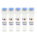 碧云天 BeyoFusion PCR Master Mix (2X)(预混液)(D7250-5ml)