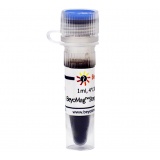 碧云天 BeyoMag Streptavidin Magnetic Beads (链霉亲和素磁珠)(P2151-1ml)