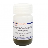 碧云天 BeyoMag RNA Clean Magnetic Beads (RNA纯化磁珠)(R0081-20ml)