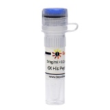 碧云天 6X His Peptide (6X His多肽)(P9811-1mg)