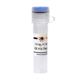 碧云天 6X His Peptide (6X His多肽)(P9811-25mg)