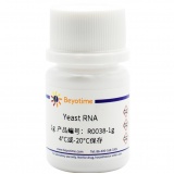 碧云天 Yeast RNA（酵母RNA）(R0038-1g)