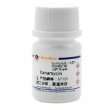 碧云天Kanamycin 1g