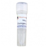 碧云天 Glycogen (核酸沉淀用)(D0812)