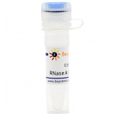 碧云天 RNase A (100mg/ml)(核糖核酸酶A)(ST579)