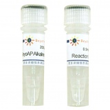 碧云天 BeyoAP Alkaline Phosphatase(BeyoAP碱性磷酸酶)(D7027)