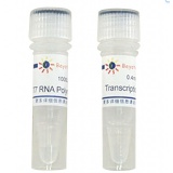 碧云天 T7 RNA Polymerase(T7 RNA聚合酶)(D7069)