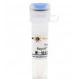 碧云天 BeyoRT III cDNA第一链合成预混液(5X)(D7182L)