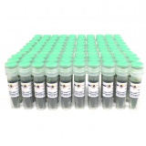 碧云天 Easy-Load PCR Master Mix (Green, 2X)(PCR预混液)(D7255-100ml)