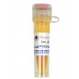 碧云天 Easy-Load PCR Master Mix (Orange, 2X)(PCR预混液)(D7259-1ml)