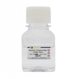 碧云天 BeyoPure Ultrapure Water (PCR级, Sterile)(ST873-100ml)