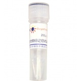 碧云天 生物素标记EMSA探针－AP2 (0.2μM)(GS012B)