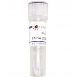 碧云天 EMSA探针－HIF-1α (10μM)(GS032A)