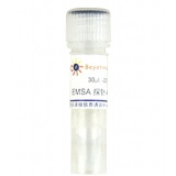 碧云天 EMSA探针－NF-κB (10μM)(GS056A)