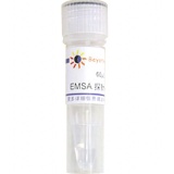 碧云天 EMSA探针－STAT3 (1.75μM)60μl