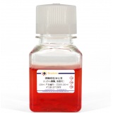 碧云天 胰酶细胞消化液(0.25%胰酶, 含酚红)(C0203-100ml)