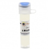 碧云天 支原体预防去除试剂II(C0293-2ml)