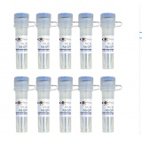 碧云天 Ad-GFP-p62(GFP-p62腺病毒)(C3015-10ml)