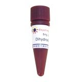 碧云天 Dihydroethidium (超氧化物阴离子荧光探针)(S0063)