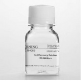 康宁（Corning）BD Biocoat 354253 细胞回收液, Cell Recovery Solution