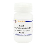 碧云天 裂解液(RNAeasy动物RNA抽提试剂盒用)(R0046-50ml)