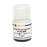 碧云天 BeyoMag RNA Clean Magnetic Beads (RNA纯化磁珠)(R0081-5ml)