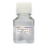 碧云天 MEM Non-Essential Amino Acids Solution (100X)