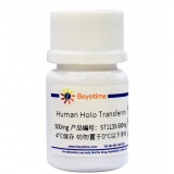 碧云天 Human Holo Transferrin