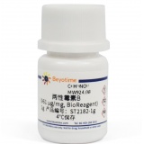 碧云天 两性霉素B (>750μg/mg, BioReagent)