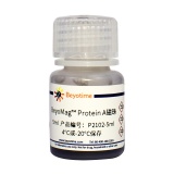 碧云天 BeyoMag Protein A磁珠(P2102-5ml)