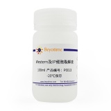 碧云天 BeyoLytic 昆虫活性蛋白抽提试剂(P0013S-100ml)