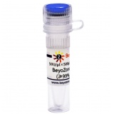 碧云天 BeyoZonase™超级核酸酶(≥99%, with His-tag)