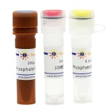 碧云天 Phosphate Sensor Assay Kit (磷酸根荧光检测试剂盒)(S0192S)