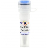 碧云天 Bestatin (氨肽酶抑制剂)