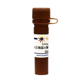 碧云天 大豆胰蛋白酶胰凝乳蛋白酶抑制剂(BioPremium)(SG2036-200mg)