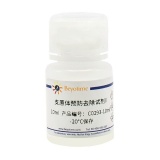 碧云天 支原体预防去除试剂II(C0293-10ml)