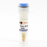 碧云天 EdU(5-乙炔基-2'-脱氧尿苷)(ST067-50mg)