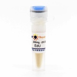 碧云天 EdU(5-乙炔基-2'-脱氧尿苷)(ST067-250mg)