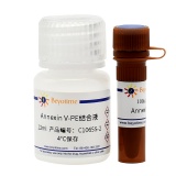 碧云天 Annexin V-PE细胞凋亡检测试剂盒(C1065S)